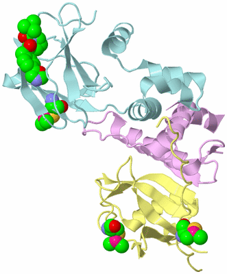 Image Biological Unit 2