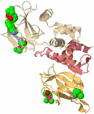 Image Biological Unit 3