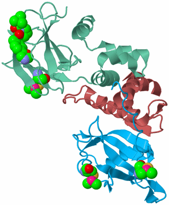 Image Biological Unit 4