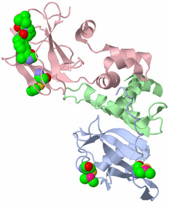 Image Biological Unit 1