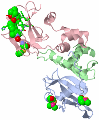 Image Biol. Unit 1 - sites