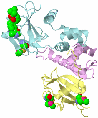 Image Biological Unit 2