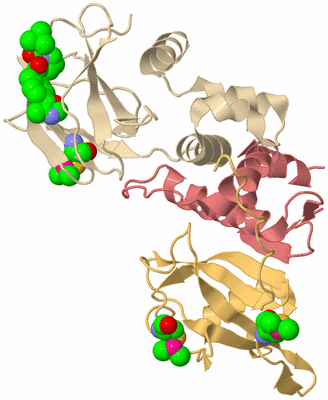 Image Biological Unit 3