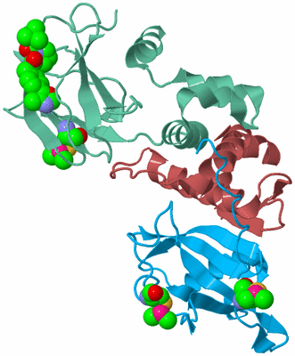 Image Biological Unit 4