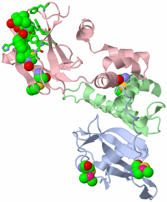 Image Biol. Unit 1 - sites