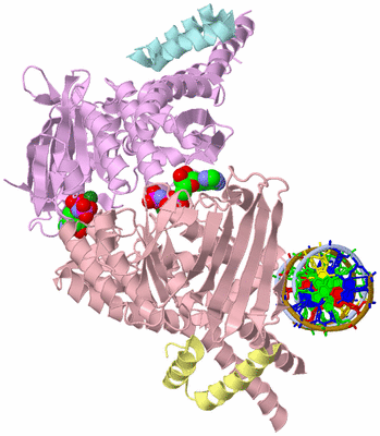 Image Biological Unit 1