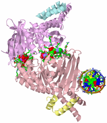 Image Biol. Unit 1 - sites