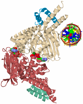 Image Biological Unit 2