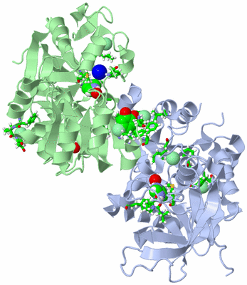 Image Biol. Unit 1 - sites