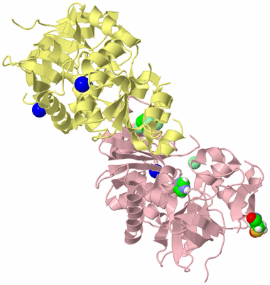 Image Biological Unit 2