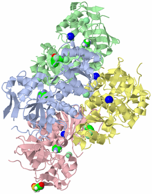 Image Biological Unit 3