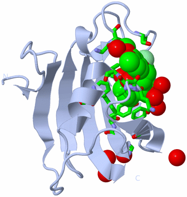 Image Biol. Unit 1 - sites