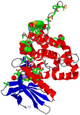 Image Asym./Biol. Unit - sites