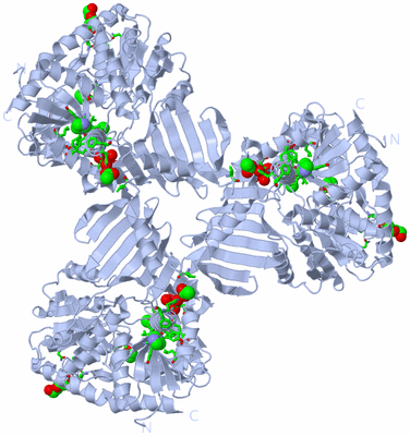 Image Biol. Unit 1 - sites