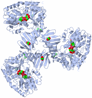 Image Biological Unit 1