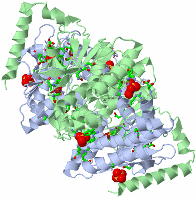 Image Biol. Unit 1 - sites