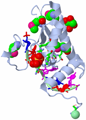 Image Biol. Unit 1 - sites