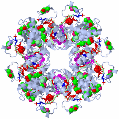 Image Biological Unit 2