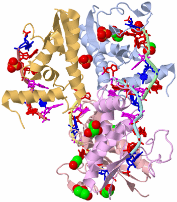 Image Asym./Biol. Unit