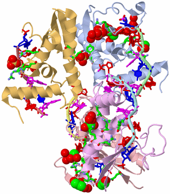 Image Asym./Biol. Unit - sites