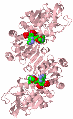 Image Biological Unit 2