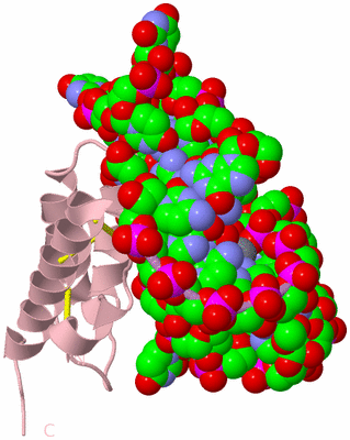 Image Biological Unit 3