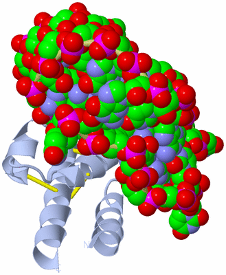 Image Biological Unit 1