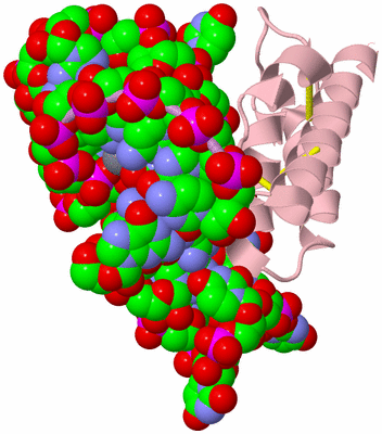 Image Biological Unit 3