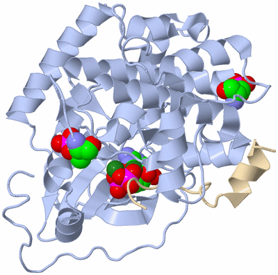 Image Biological Unit 1