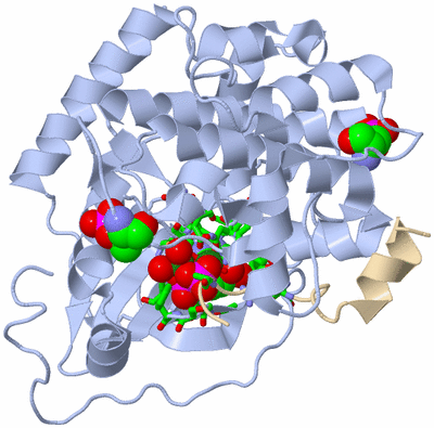 Image Biol. Unit 1 - sites