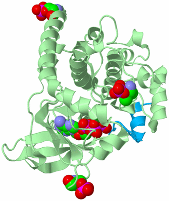 Image Biological Unit 2