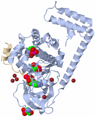 Image Biological Unit 1