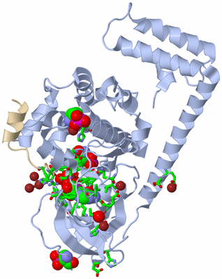 Image Biol. Unit 1 - sites