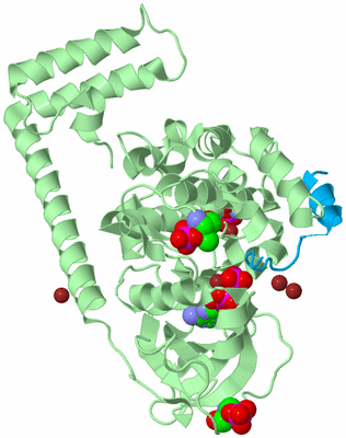 Image Biological Unit 2