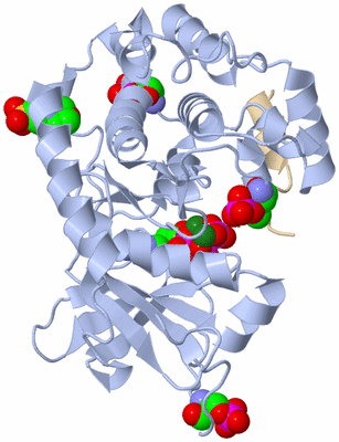 Image Asym./Biol. Unit