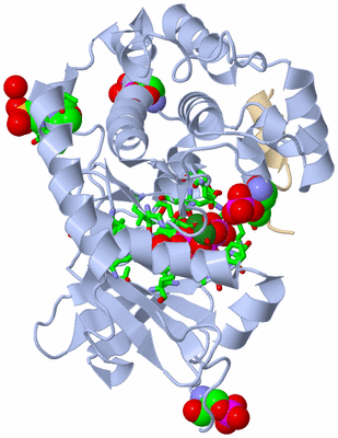 Image Asym./Biol. Unit - sites