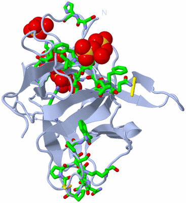 Image Biol. Unit 1 - sites