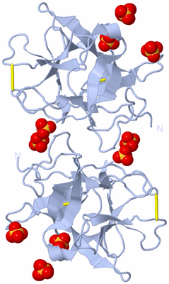 Image Biological Unit 3