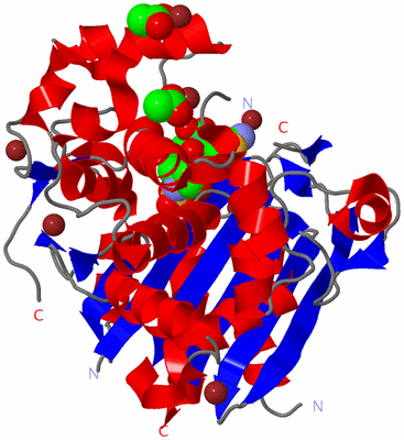 Image Asym./Biol. Unit