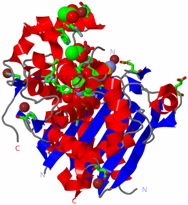 Image Asym./Biol. Unit - sites