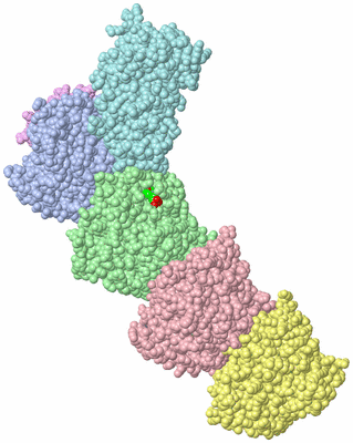 Image Asym./Biol. Unit