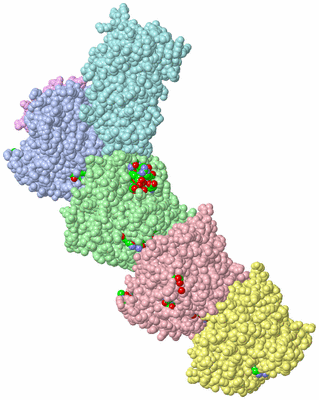 Image Asym./Biol. Unit - sites