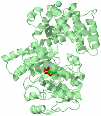 Image Biological Unit 2