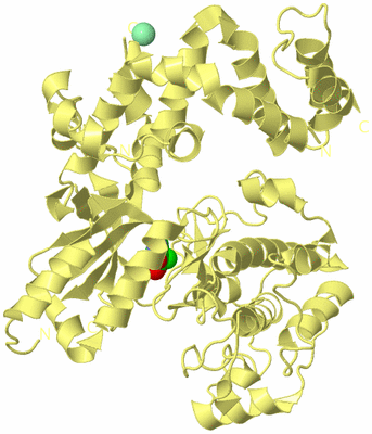 Image Biological Unit 4