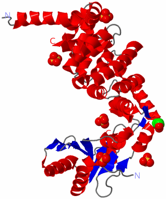 Image Asym./Biol. Unit