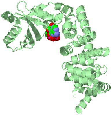 Image Biological Unit 2