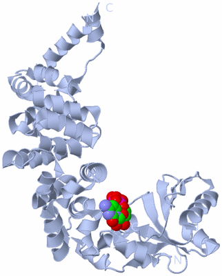 Image Biological Unit 1