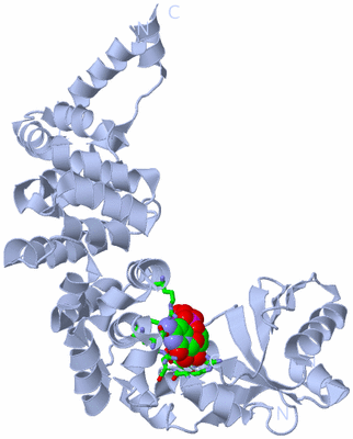 Image Biol. Unit 1 - sites