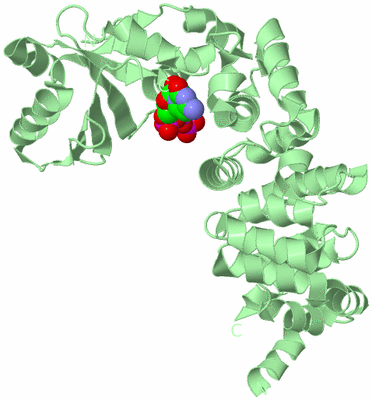 Image Biological Unit 2