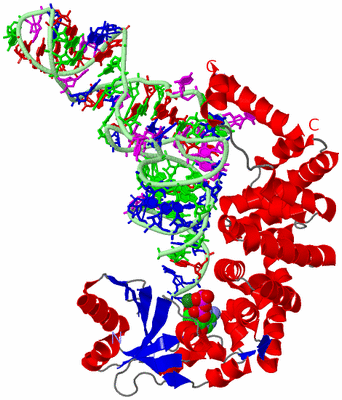 Image Asym./Biol. Unit